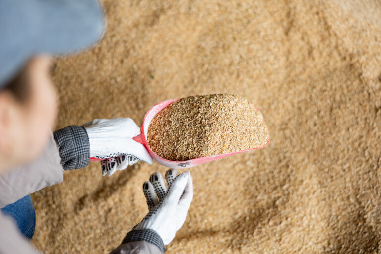 Soybean Meal: Essential Nutrient for Agriculture and Livestock Feed