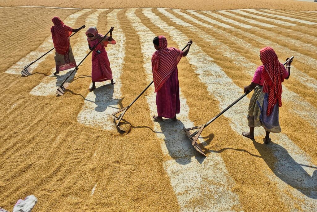 Village women story 1.